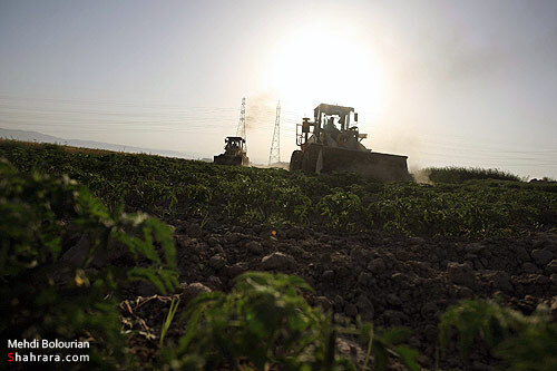 اولين تخريب مزارع آلوده كشف رود در سال 90