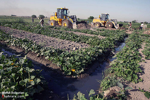 اولين تخريب مزارع آلوده كشف رود در سال 90