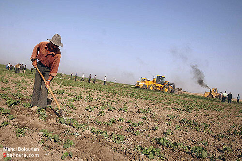 اولين تخريب مزارع آلوده كشف رود در سال 90