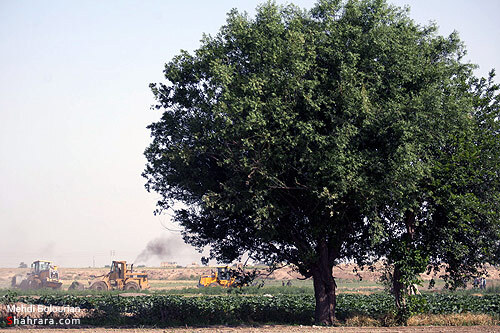 اولين تخريب مزارع آلوده كشف رود در سال 90