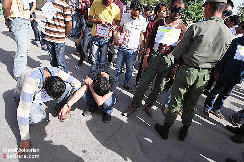 دستگيري 52 سارق و زورگير 