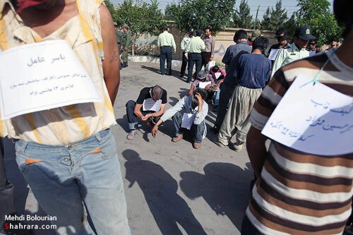 دستگيري 52 سارق و زورگير 