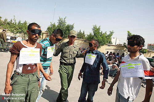 دستگيري 52 سارق و زورگير 