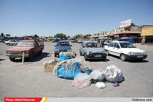 پلمپ واحدهاي متخلف در بازار گل 