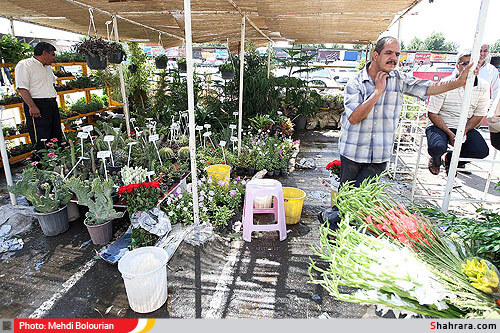 پلمپ واحدهاي متخلف در بازار گل 
