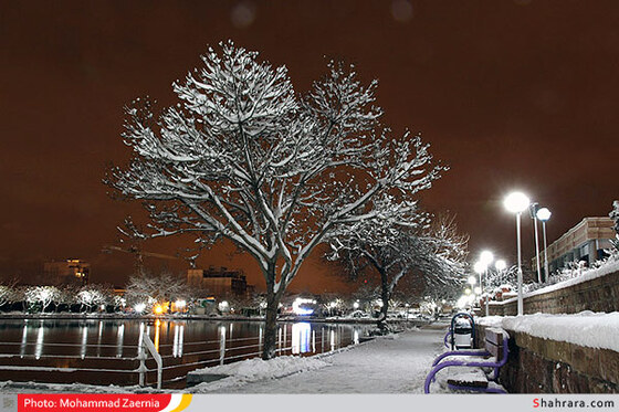 بوستان کوهسنگی 