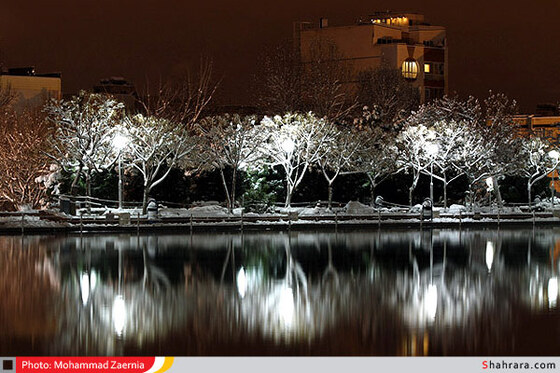 بوستان کوهسنگی 