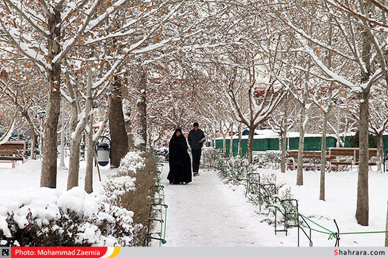 بوستان کوهسنگی 