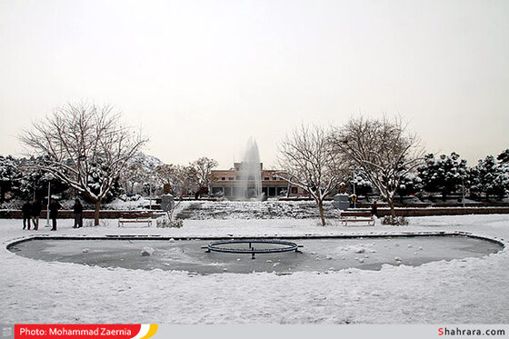 بوستان کوهسنگی 