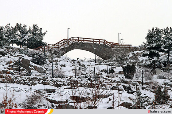 بوستان کوهسنگی 