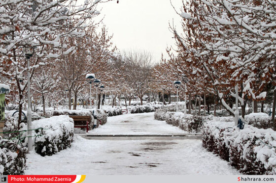 بوستان کوهسنگی 