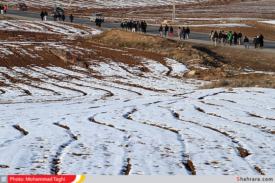 پیاده روی زائران امام رضا (ع)