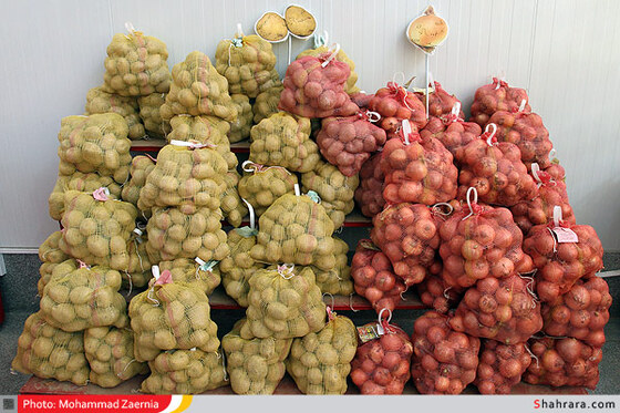 افتتاح 2 بازار  میوه و تره بار و ارزاق عمومی