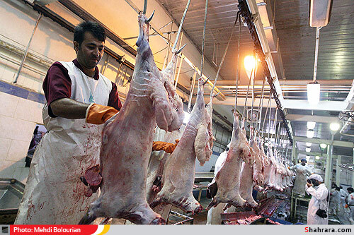 کشتارگاه دام مشهد