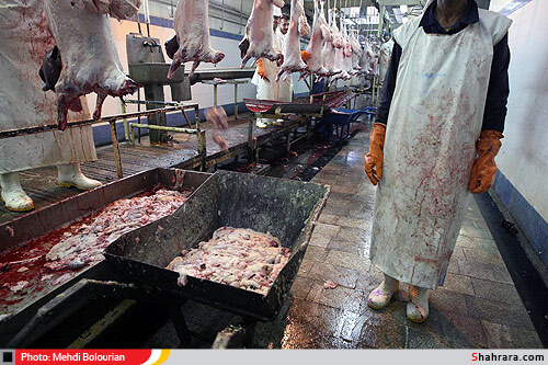 کشتارگاه دام مشهد