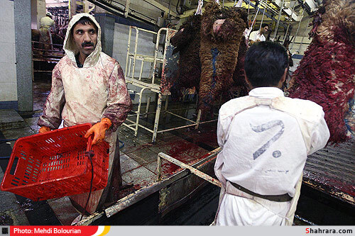 کشتارگاه دام مشهد