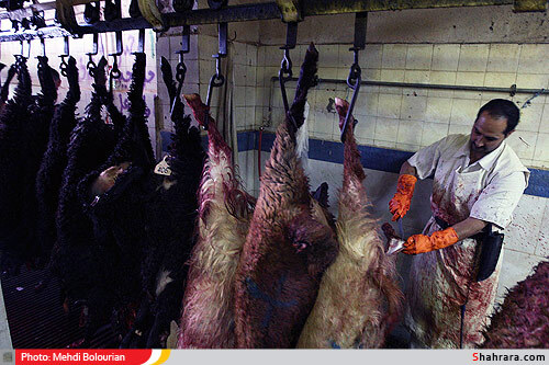 کشتارگاه دام مشهد