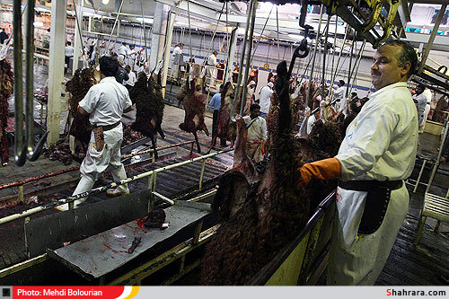 کشتارگاه دام مشهد