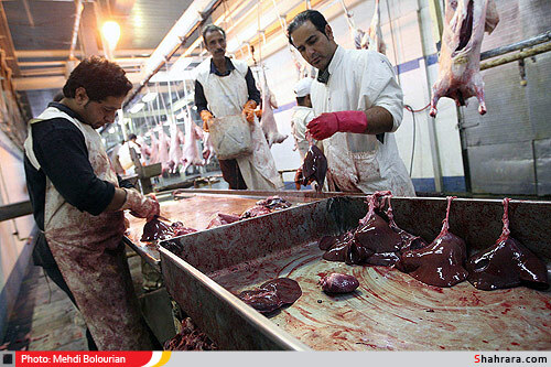 کشتارگاه دام مشهد
