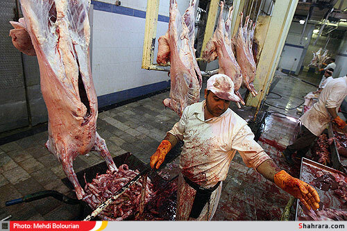 کشتارگاه دام مشهد