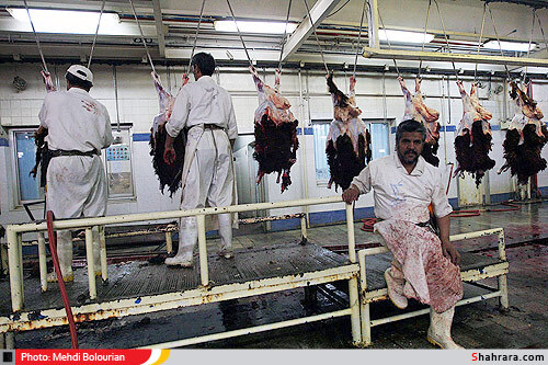 کشتارگاه دام مشهد