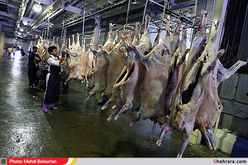 کشتارگاه دام مشهد