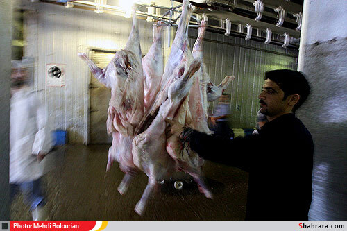 کشتارگاه دام مشهد