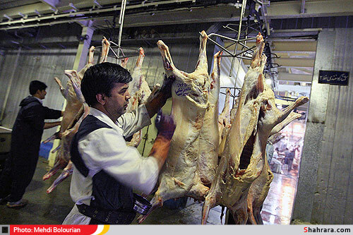 کشتارگاه دام مشهد