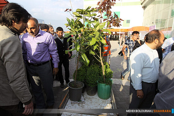نهمین نمایشگاه گل و گیاه مشهد