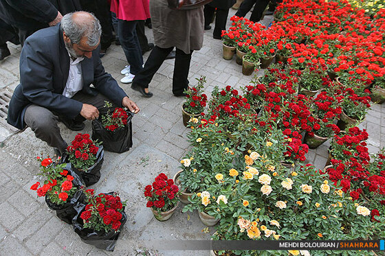 نهمین نمایشگاه گل و گیاه مشهد