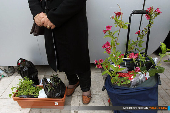 نهمین نمایشگاه گل و گیاه مشهد