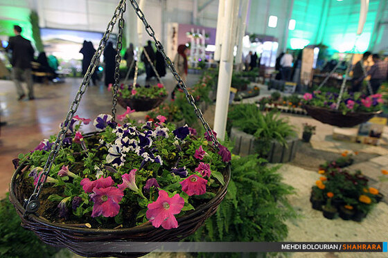 نهمین نمایشگاه گل و گیاه مشهد