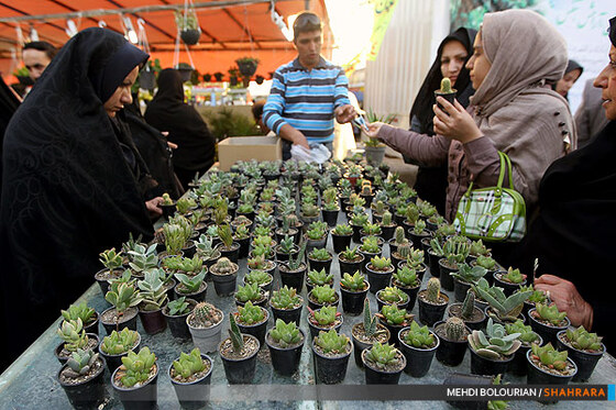 نهمین نمایشگاه گل و گیاه مشهد