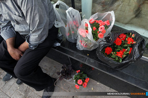 نهمین نمایشگاه گل و گیاه مشهد