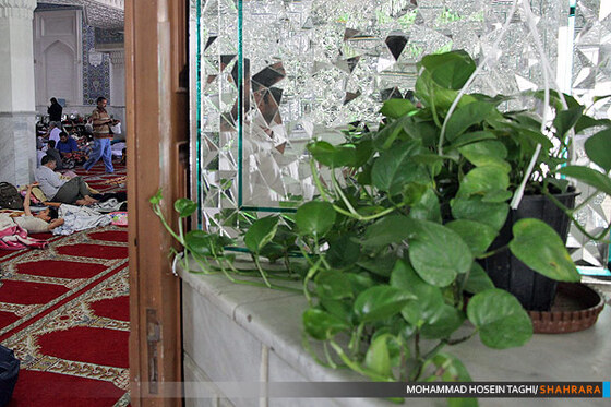 مراسم اعتکاف در مسجد امام محمد باقر (ع) 