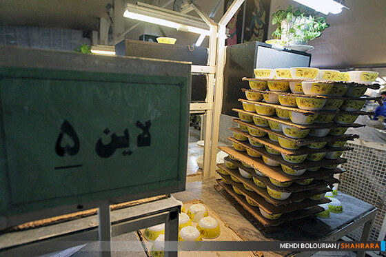 تولید ظروف چینی 