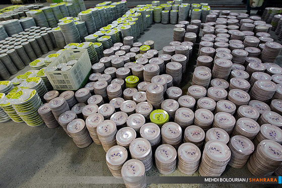 تولید ظروف چینی 