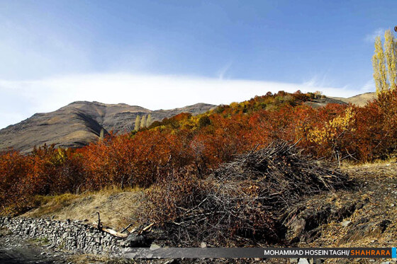 پاییز زیبا...