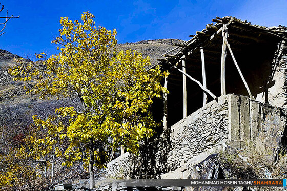 پاییز زیبا...