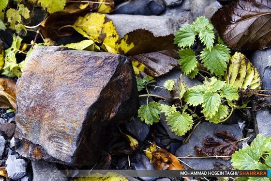 پاییز زیبا...