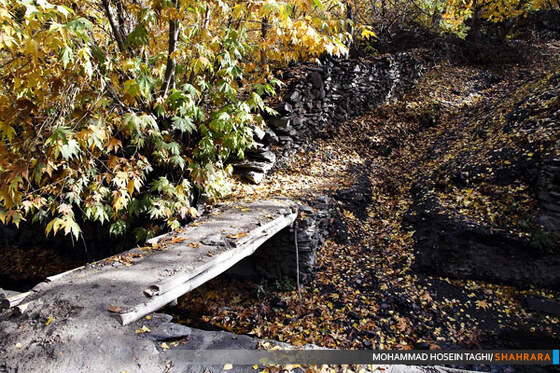 پاییز زیبا...