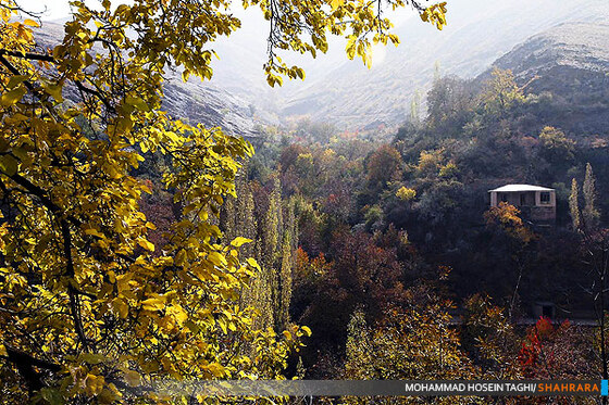 پاییز زیبا...