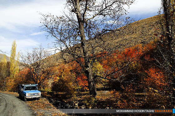 پاییز زیبا...