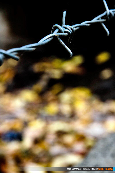 پاییز زیبا...