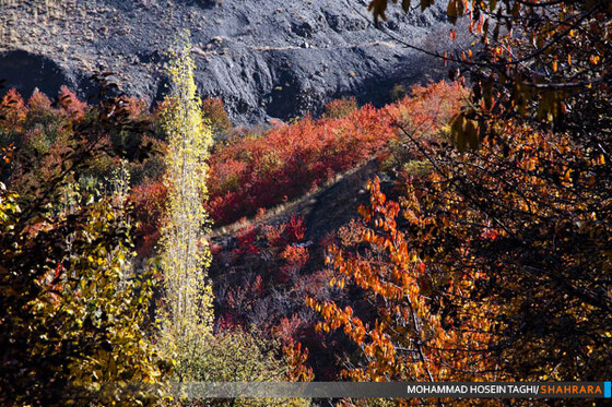 پاییز زیبا...