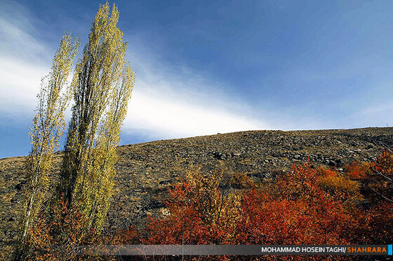 پاییز زیبا...