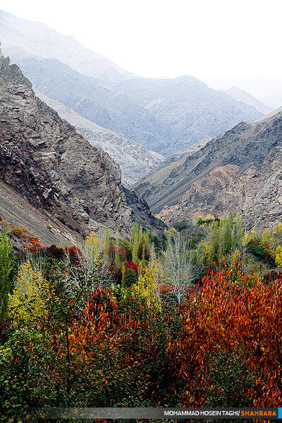 پاییز زیبا...