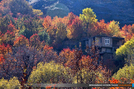 پاییز زیبا...