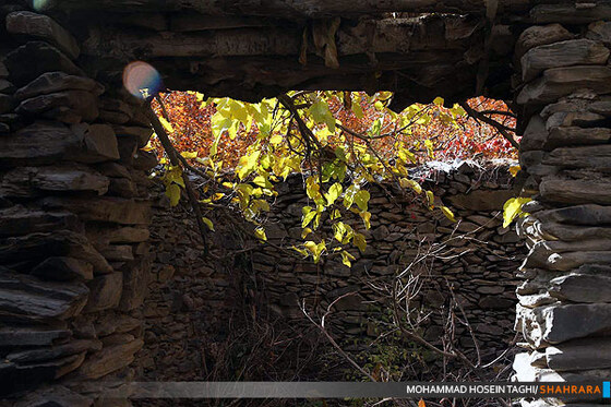 پاییز زیبا...