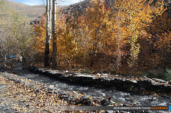 پاییز زیبا...